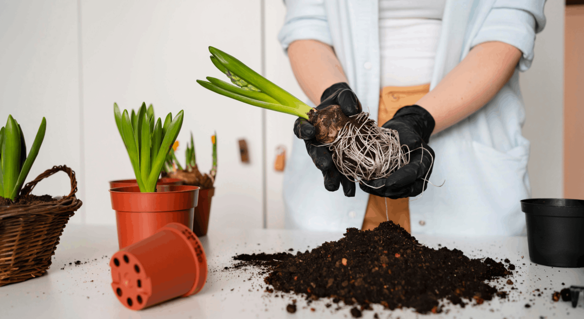 coco peat