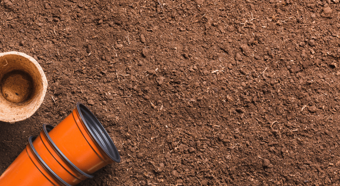 coco peat