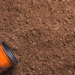 coco peat
