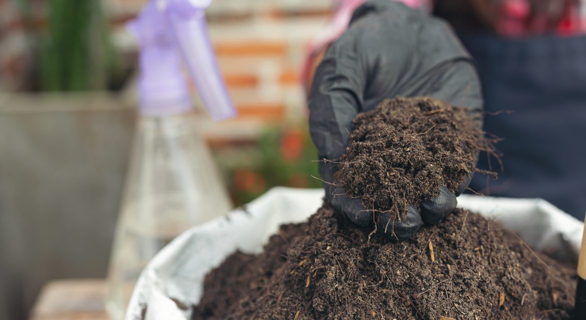 coco peat