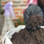 coco peat